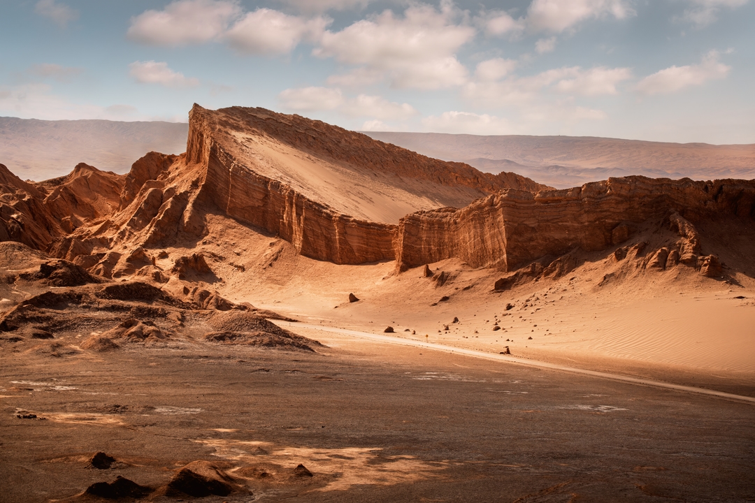 Desierto Vivo: Atacama al Aire Libre